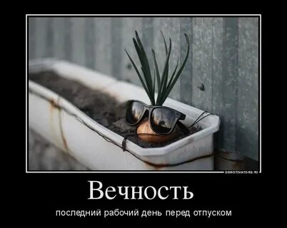 Последний день отпуска года