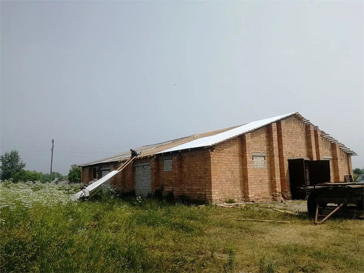 Овцеводческий комплекс. Фермы в красноярском крае. Корова берёзовский. Хозяйство зубарева шушенское фермерское. Фермы в красноярском крае.