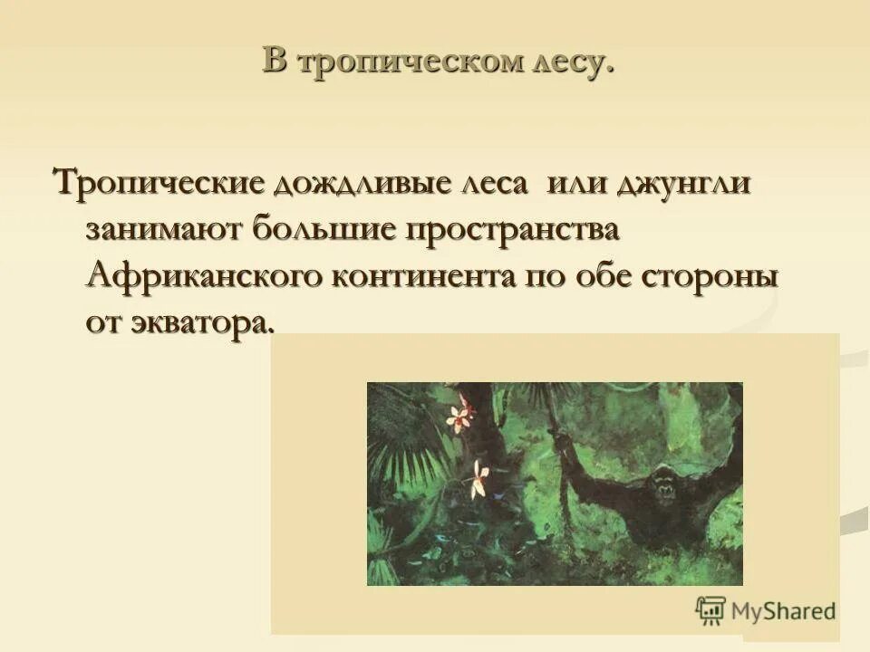 В Африке джунгли есть или нет. Сколько километров занимает джунглей. В тропическом лесу купил я дачу.