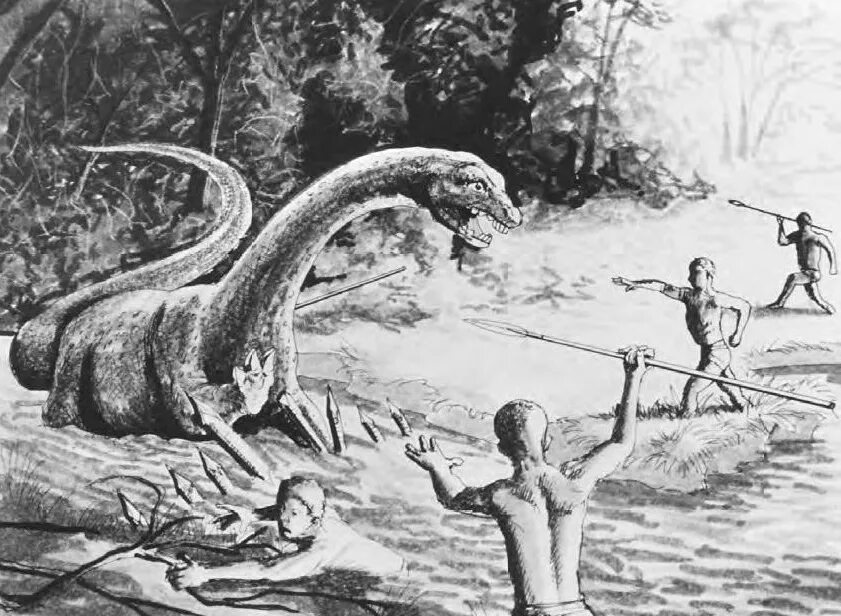 Вымершая древность 6. Мокеле мбембе криптид. Динозавр Конго Мокеле мбембе. Мокеле мбембе чудовище. Африканский ящер Мокеле-мбембе.