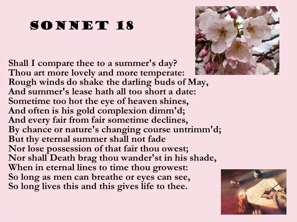 Сонет 18 Шекспир. Сонет Шекспира shall i compare. Сонет 18 Шекспир на английском. Shakespeare Sonnet 18. Shall ru