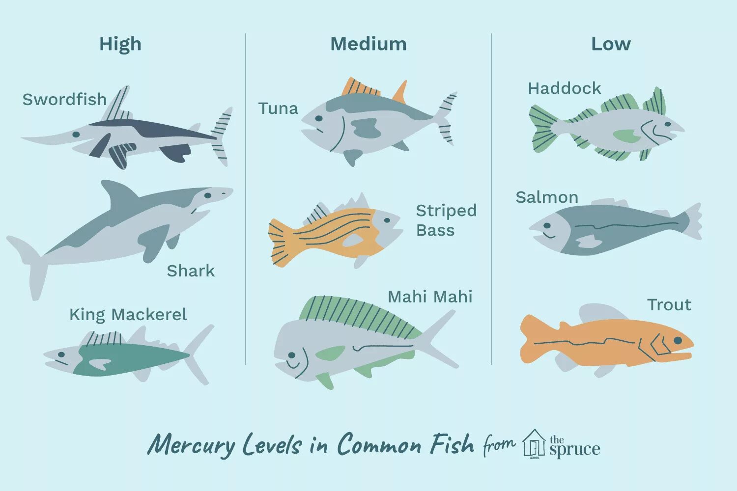 Common form. Рыба инфографика. High Mercury Fish. Рыбки инфографика. Сравнение рыб.