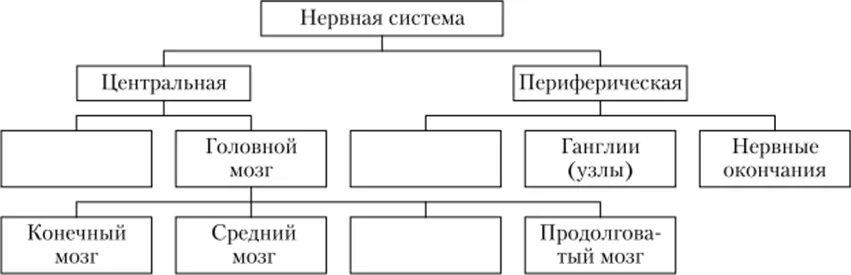 Формы безналичных расчетов. Виды и формы безналичных расчетов. Виды безналичных расчетов таблица. Виды безналичных расчетов схема. Формы безналичных расчетов и платежей