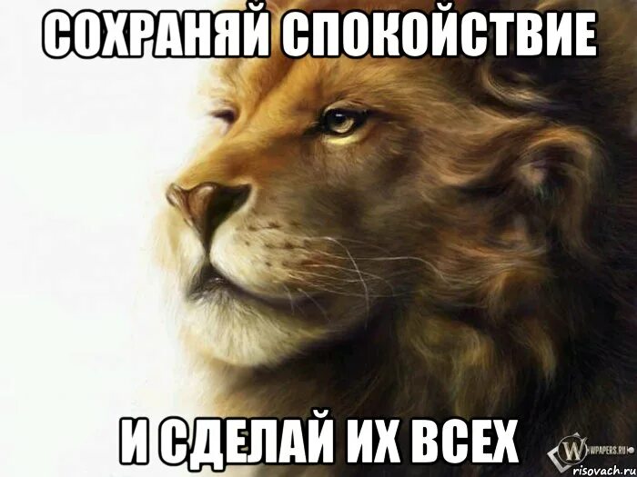 Спокойно создавать