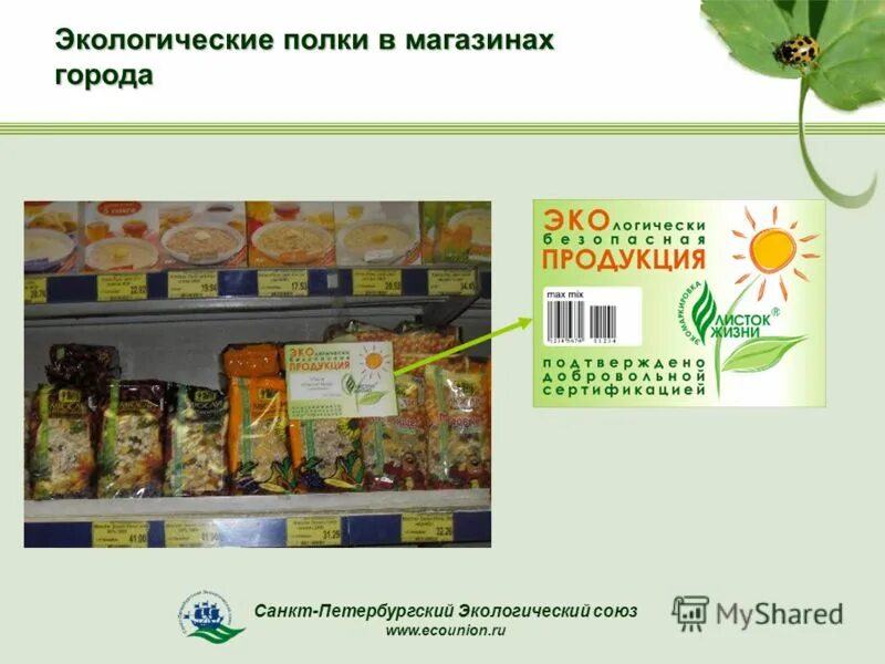 Экосоюз барнаул сайт. Экологичный продукты полка в магазине. Запвдные полклки экологические. Санкт Петербургский экологический Союз. Что такое экологические полки.