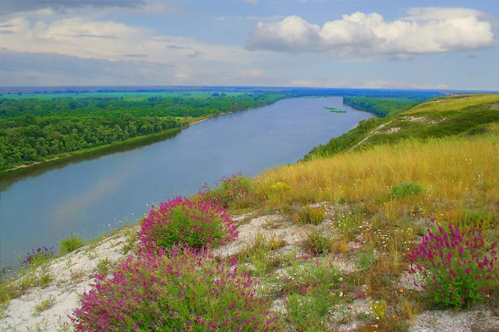 донской тематики