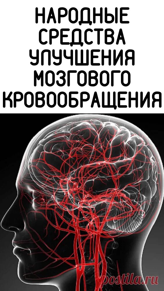 Препараты улучшающие кровоснабжение мозга. Улучшение кровоснабжения головного мозга. Улучшает мозговое кровообращение. Улучшение мозгового кровообращения иконка. Кровообращение народные средства