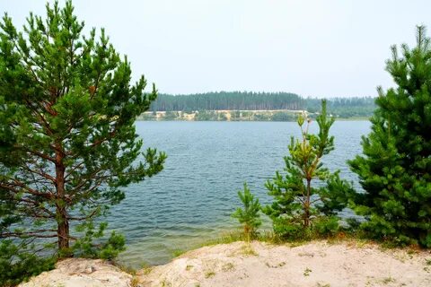 Просвет курганская область