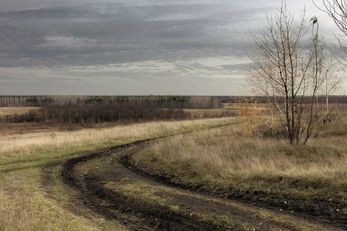 поздняя дорога. дорога в осень. поздняя дорога. поздняя дорога. поздняя осень дорога.