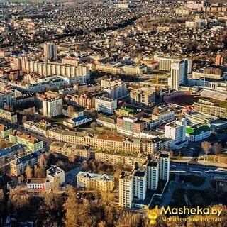 Могилев на неделю