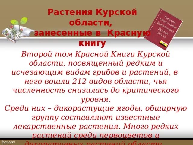 Красная книга Курской области книга. Растения красной книги Курской области. Растения из красной книги Курской области.