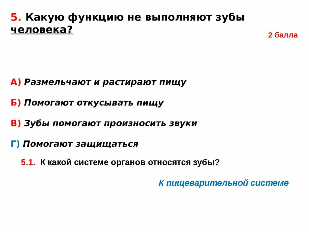 Какую роль выполняют зубы. Какую работу выполняют зубы. Какие зубы какую функцию выполняют. Какую работу выполняют зубы в организме человека. Какую функцию выполняет зуб человека