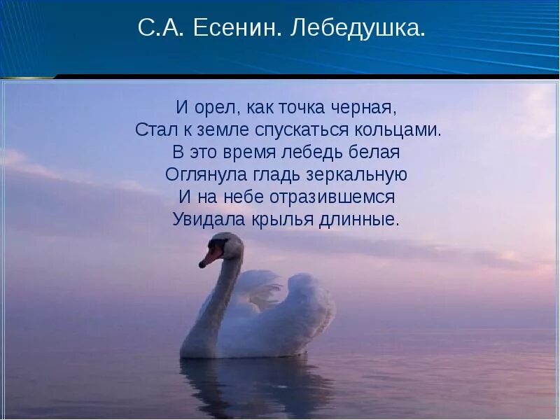 Стихотворение лебедушка 4 класс литературное. Лебедушка Есенина. Есенин с. "лебёдушка". Стихотворение Есенина Лебедушка. Лебедушка Есенин Орел.