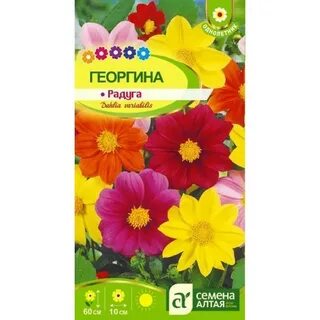 Радуга семена