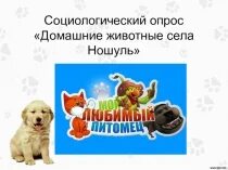 Домашние животные опрос