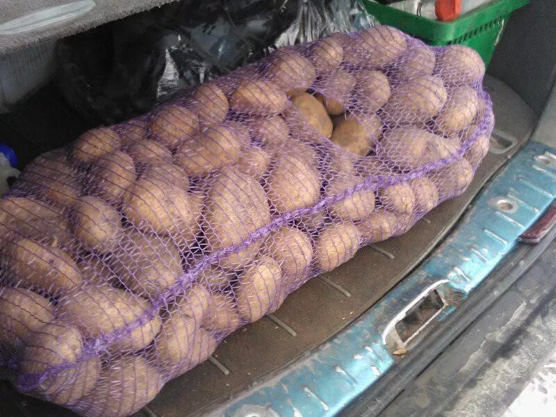 Сколько картофеля в 1 мешке