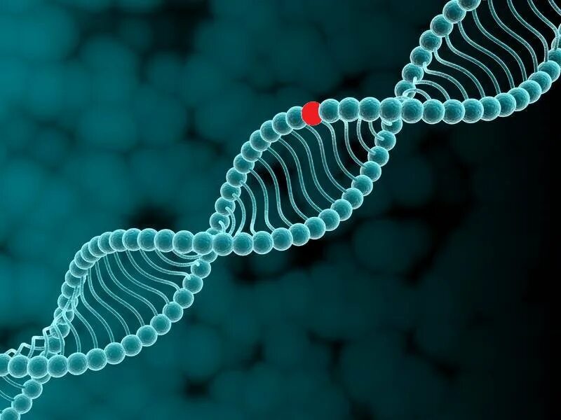 ДНК гены геном. ДНК DNA. Ген serpinc1. Наследственная предрасположенность. Наследственную природу имеют