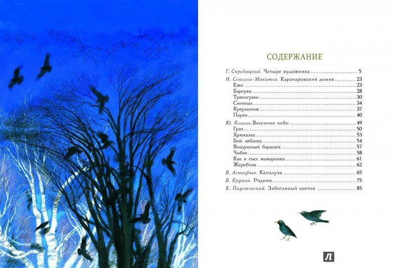 Скребицкий рассказы о природе иллюстрации. Скребицкий рассказы о природе книга. Соколов -Микитов рассказы о природе для детей. Составить план четыре художника