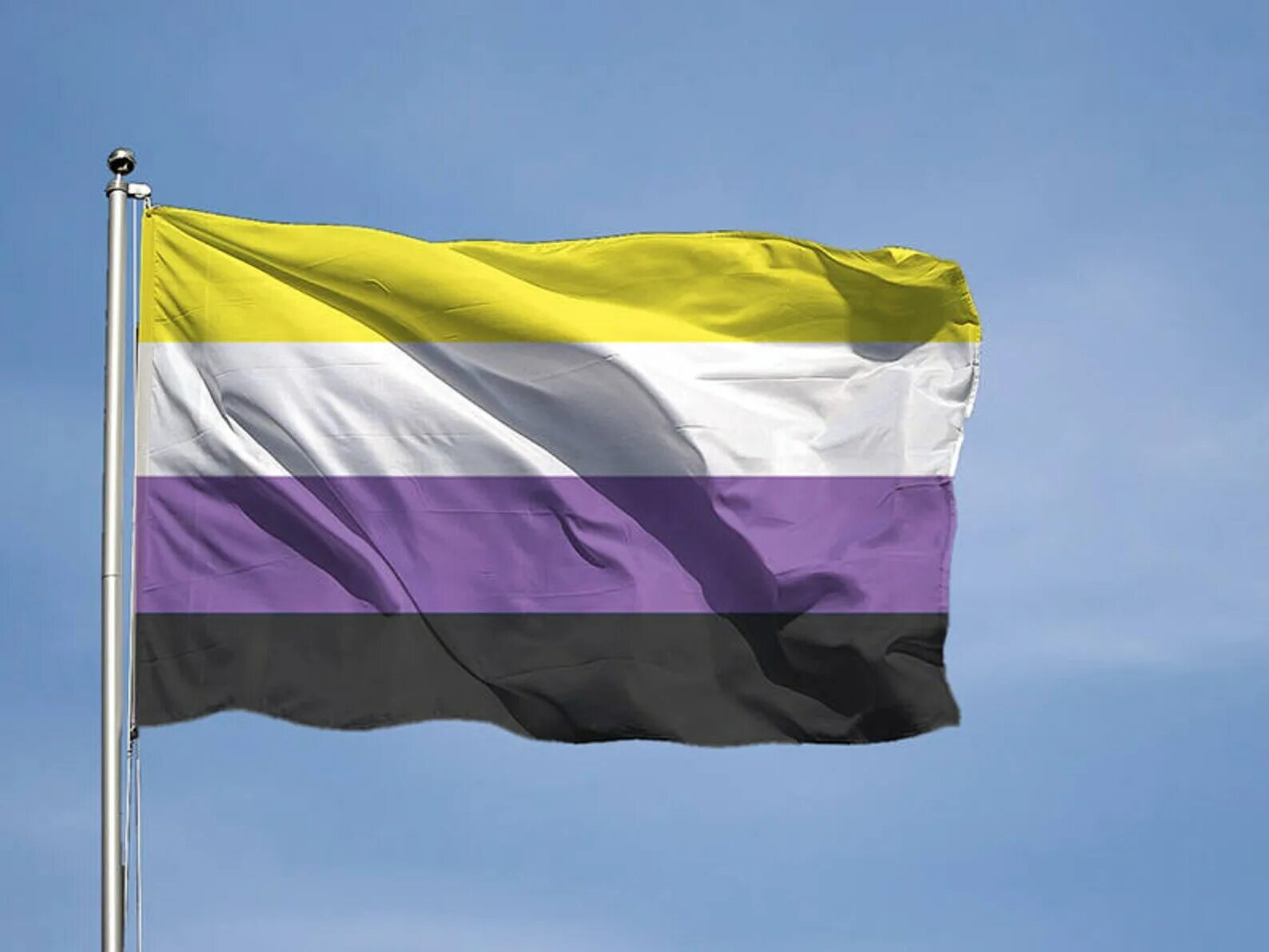 Нон бинари флаг. Небинарный флаг. Желто черно фиолетовый флаг