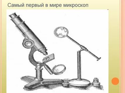 Мир микроскопа