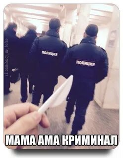 Правят криминал