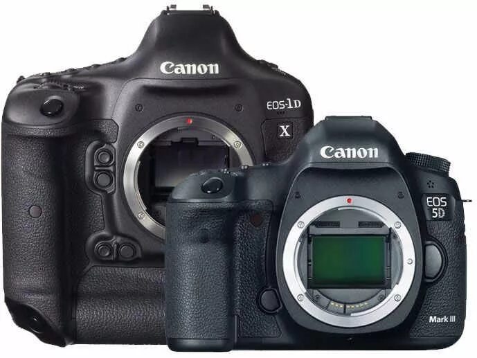 Canon EOS 5d Mark IV. Canon EOS 1dx Mark II. Canon EOS 1dx Mark IV. Canon EOS 5d Mark 3. R5 mark ii