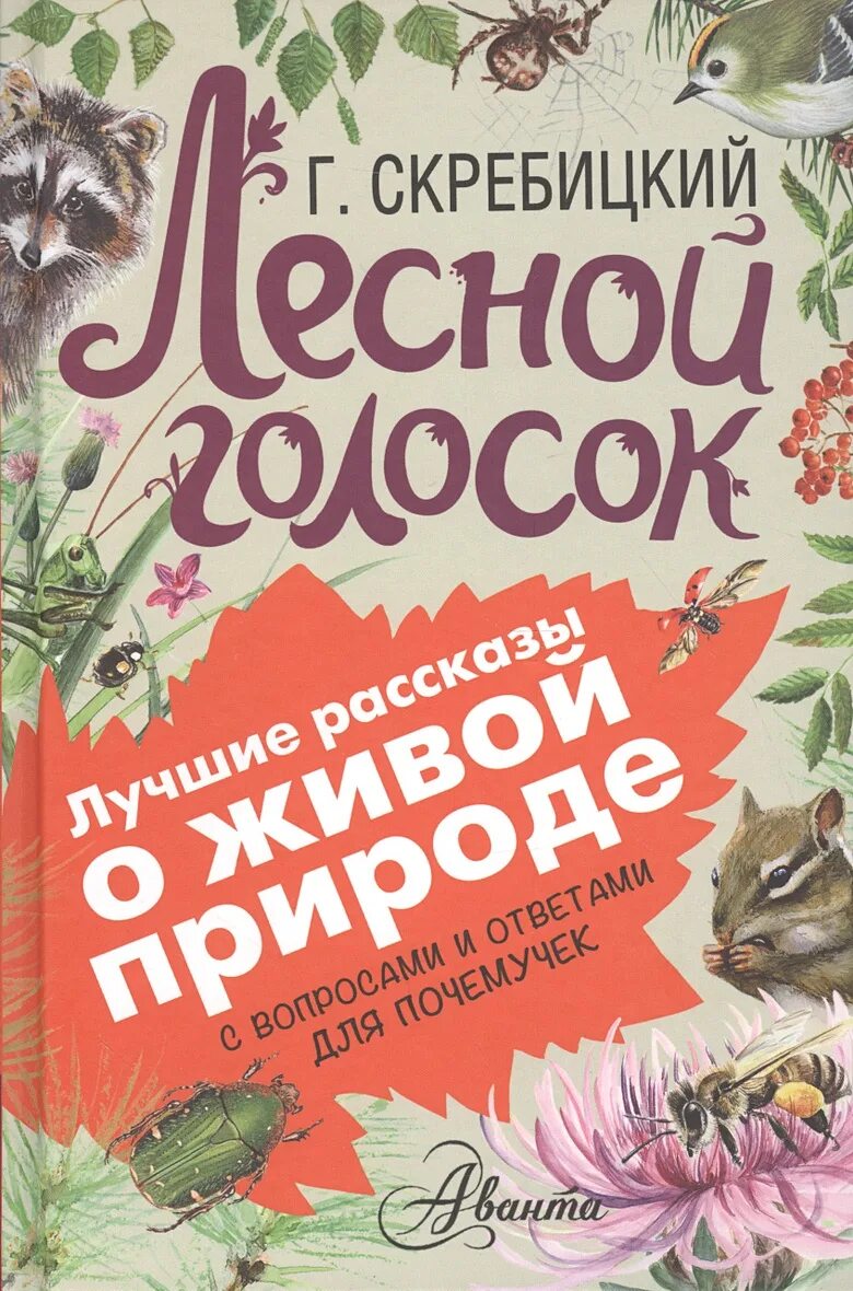 Смышленый зверек г скребицкий. Скребицкий лесной голосок. обложка лесной голосок скребицкий.
