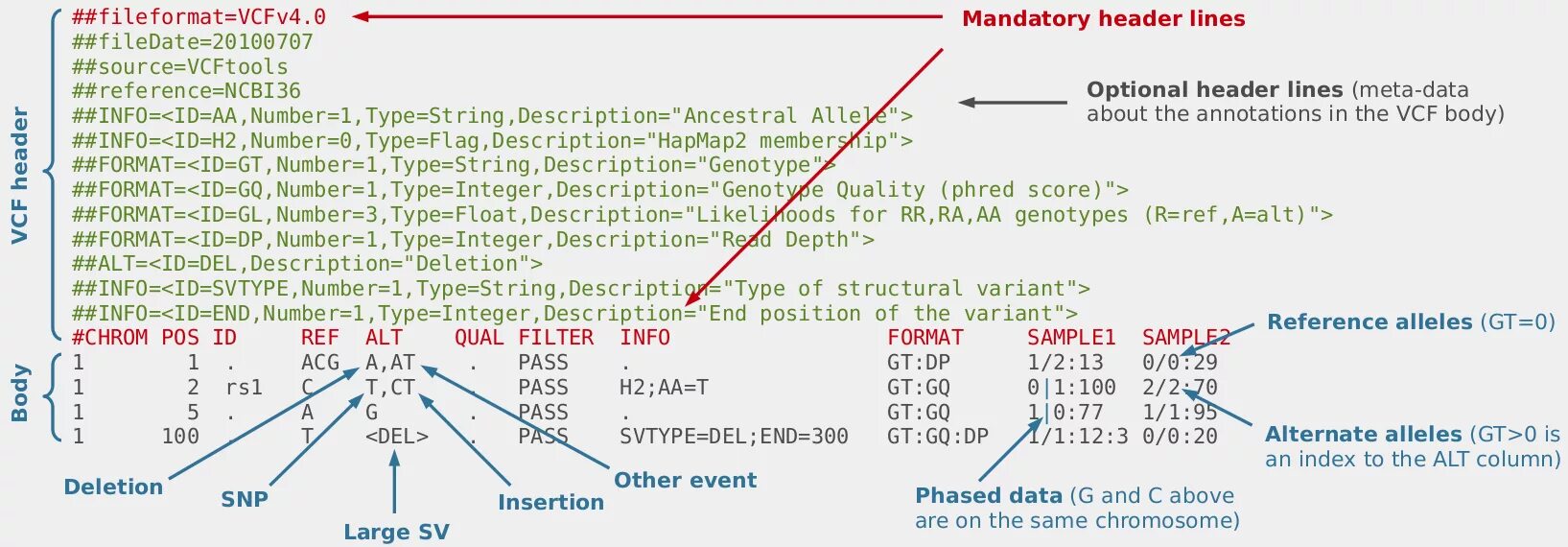 Type description