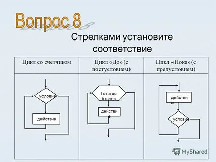 Установите соответствие цикл