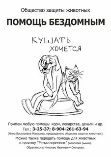Проект помощь бездомным