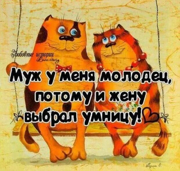 Жена умница