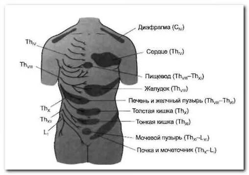 Поболит споава в спине. Болит спина справа. Болит правая сторона спины.