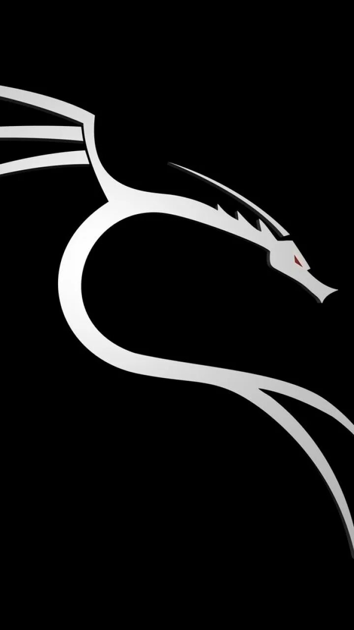 Kali linux on android. 4. Kali linux wallpaper hd. Kali linux icon. Кали линукс на андроид.