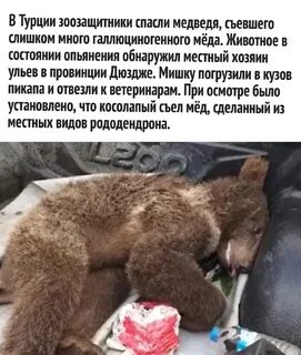 Сон спас