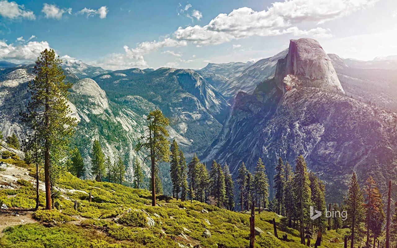 National park usa. Национальный парк Йосемити Калифорния. Национальный парк Йосемити, США гора. Парк Йосемити Калифорния деревья. Национальный парк Йосемити Калифорния США обои.