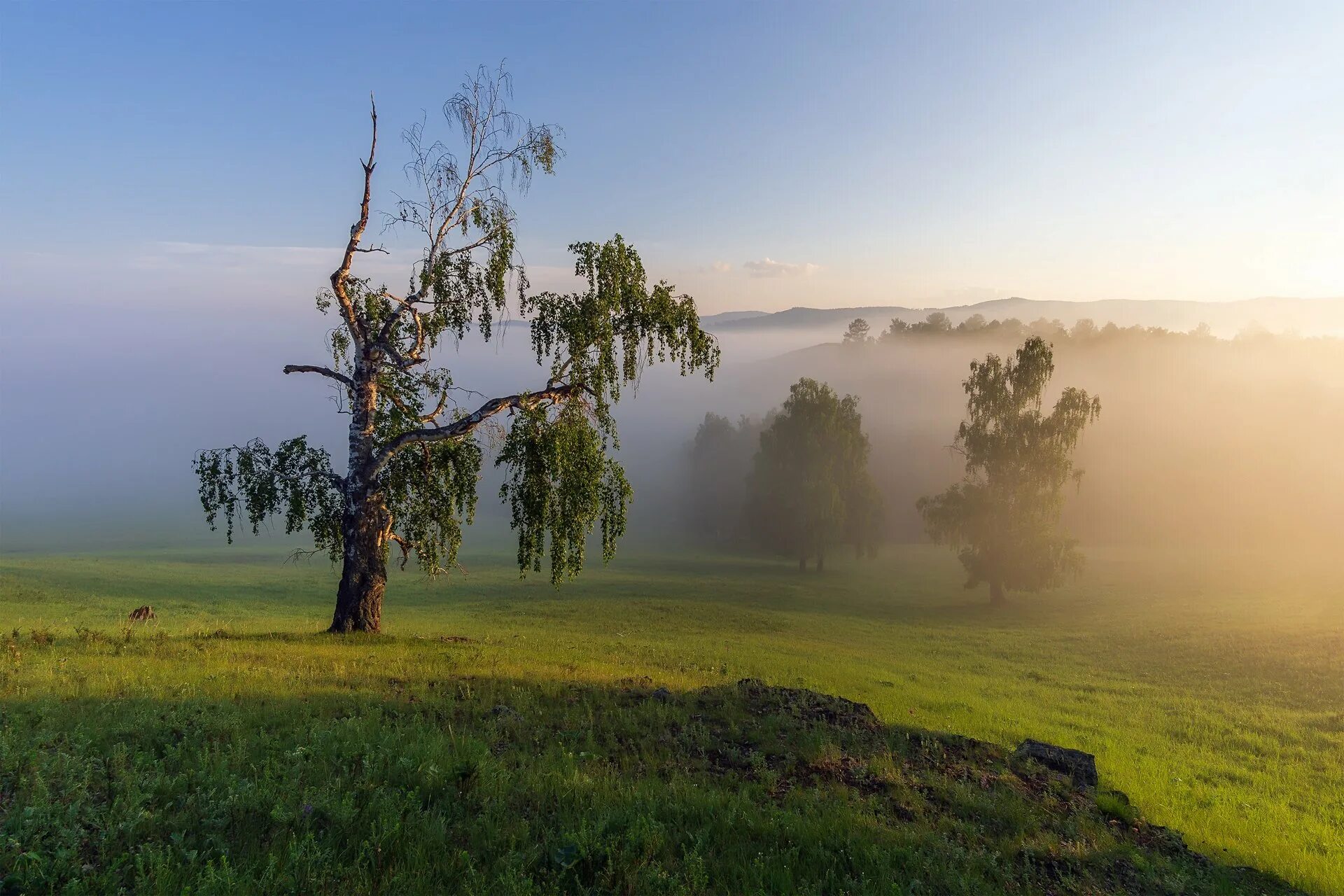 Девушка утро окно. Утренний туман. Утренний пейзаж. Ранний рассвет. Бодрый человек с утра.