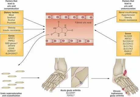 Uric acid