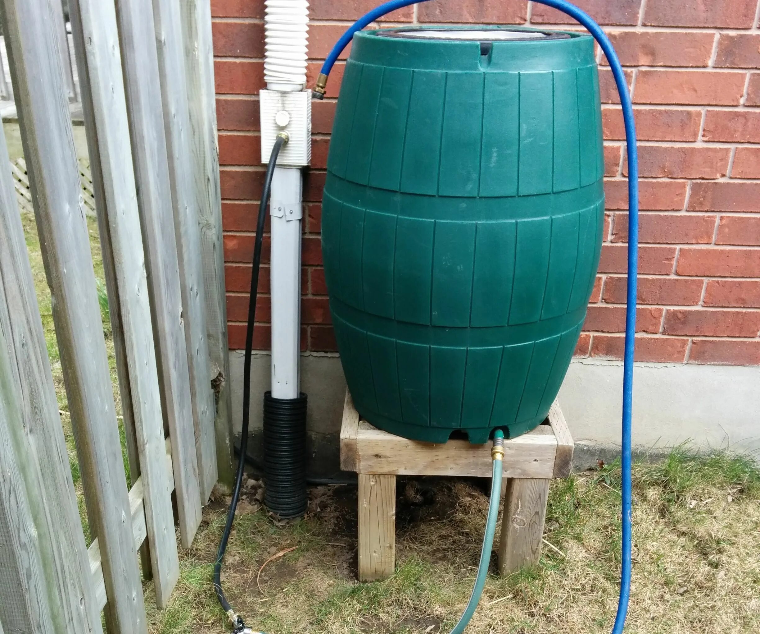 Бочка для воды для полива огорода. Дождевая бочка Rain Barrel. Капельный полив из бочек 200л. Бочка для полива на даче. Емкость для сбора дождевой воды.