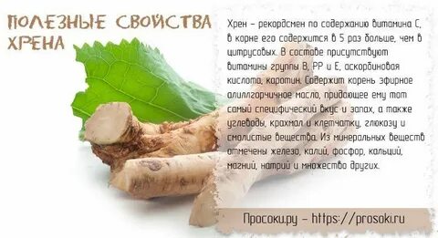 Хрен свойства применение