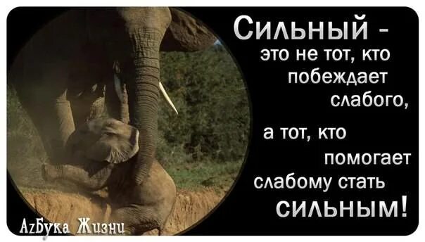 Не сильная а сильная. Победит тот кто. Слабый побеждает сильного. Цитаты про сильных людей. Я сильная цитаты.