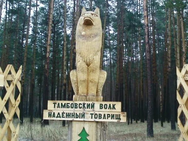 Тамбовский волк символ тамбова. Тамбовский волк. Тамбовский волк надежный товарищ. Тамбовский волк надежный товарищ памятник. Выражение тамбовский волк.