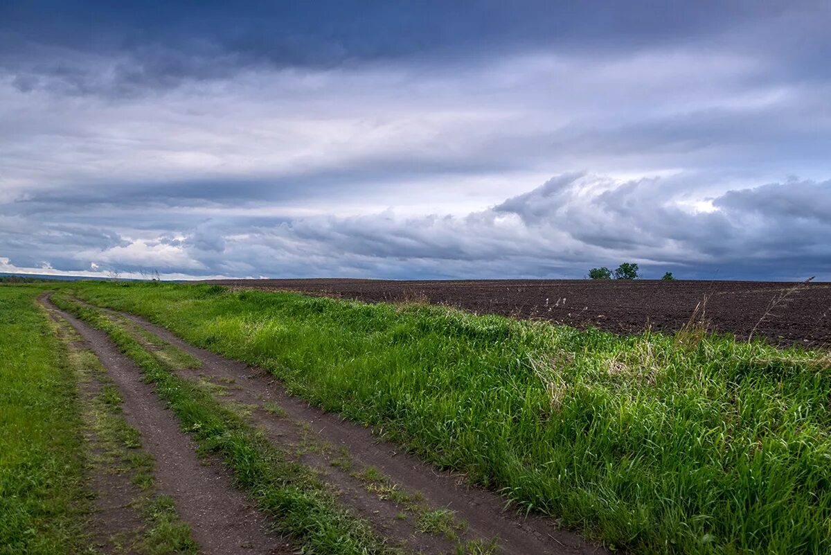 Поселковая дорога. Дорога в деревне. Сельская дорога. Проселочная дорога в поле. Деревенская дорога.