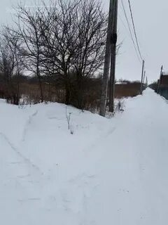 Камышинский сельсовет курского