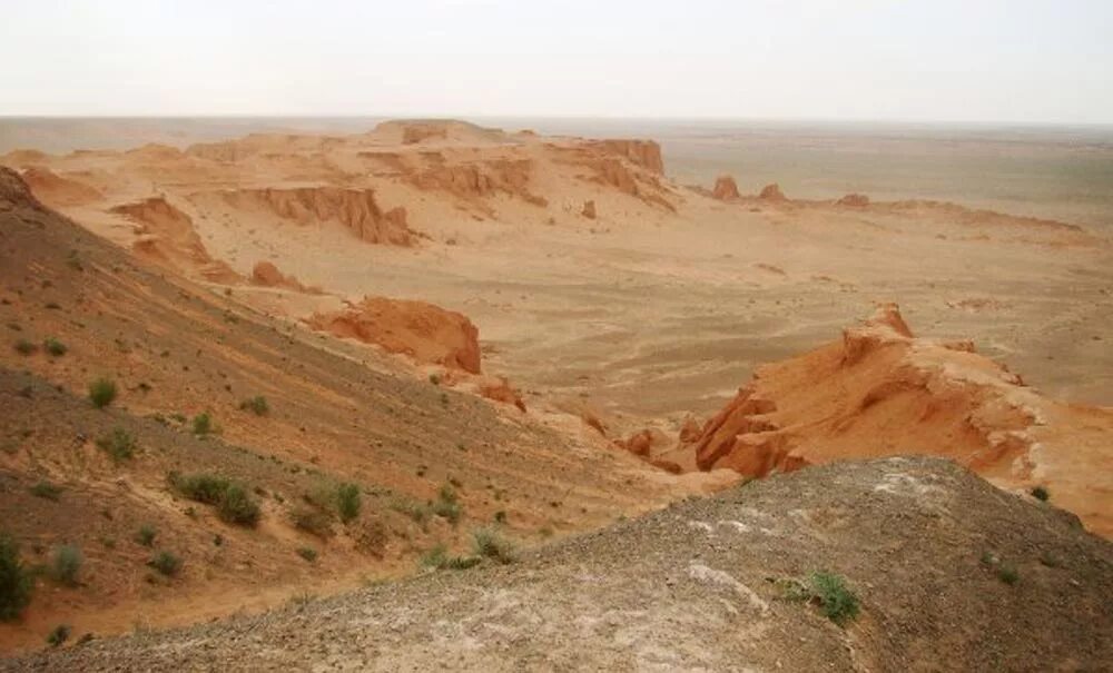 пустынный значение. пустынный значение. роза пустыни минерал. пустынный значение. географическое положение пустыни.