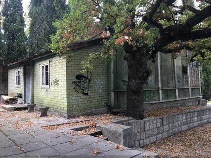 Ялта орлиное
