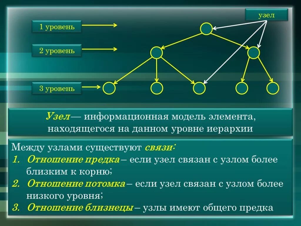 1 уровень отношение. Сетевая модель. Элементы сетевой модели. Иерархическая модель сетевая модель. Элемент данных в сетевой модели.