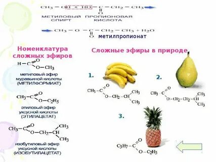 Метилпропионат метанол х1 толуол