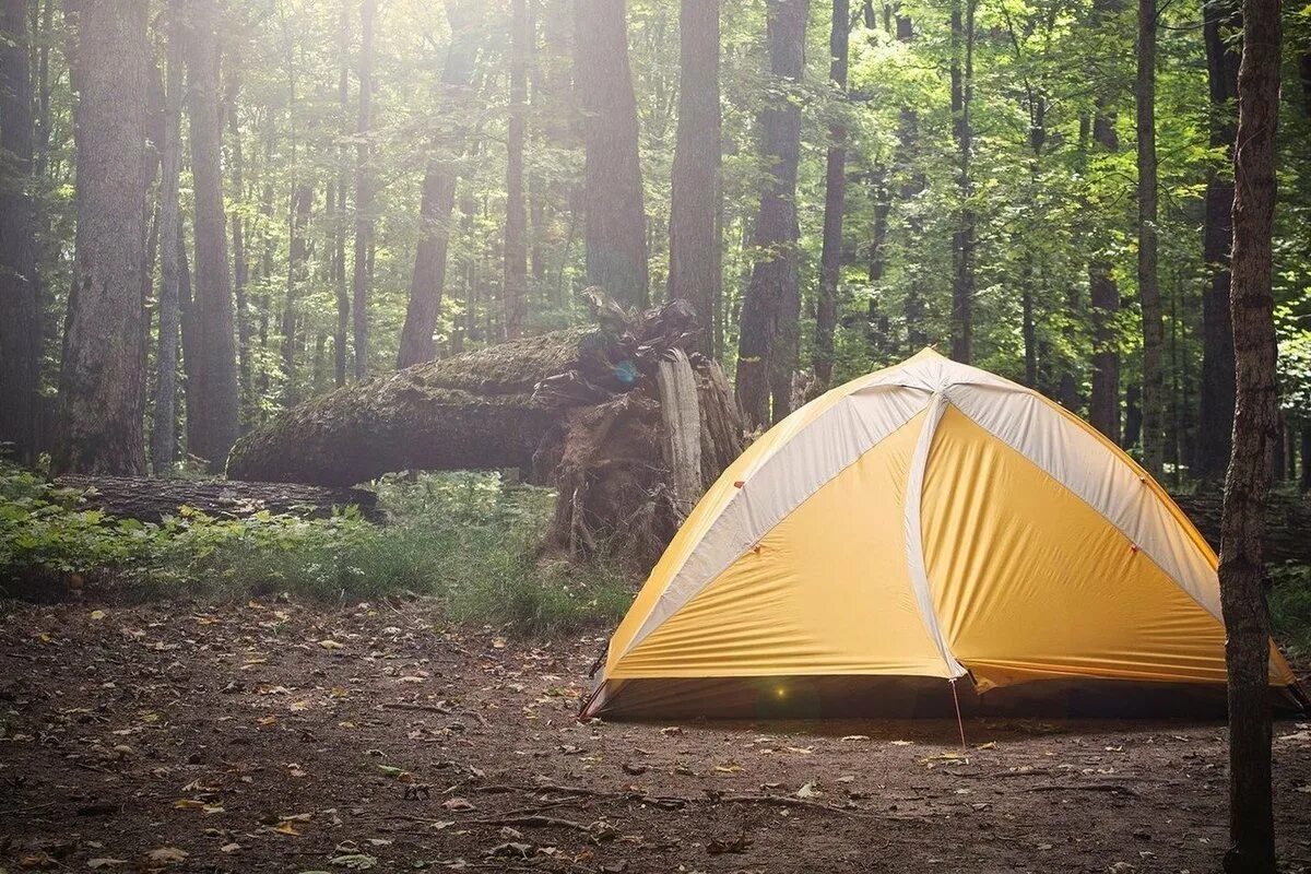 Camping фото. Форест кемпинг Приморский край. Палатка. Палатка на природе. Туристическая палатка на природе.