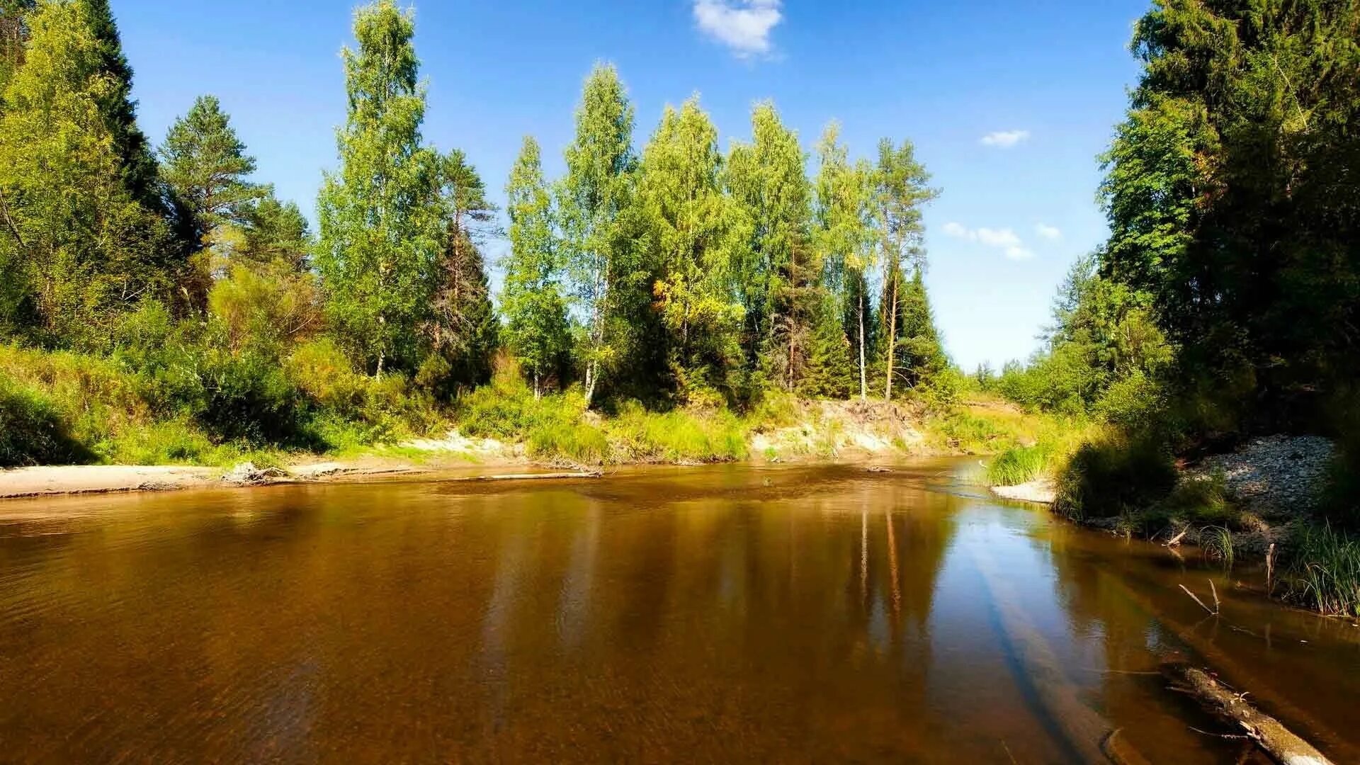 Речка синоним. Река Узола Нижегородская область. Озеро Узола. Керженец река русло. Река Ресса.