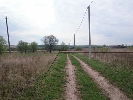 Н е м ц о в